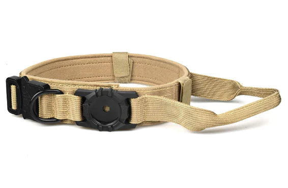 Metal Buckle Dog Collar With Handle